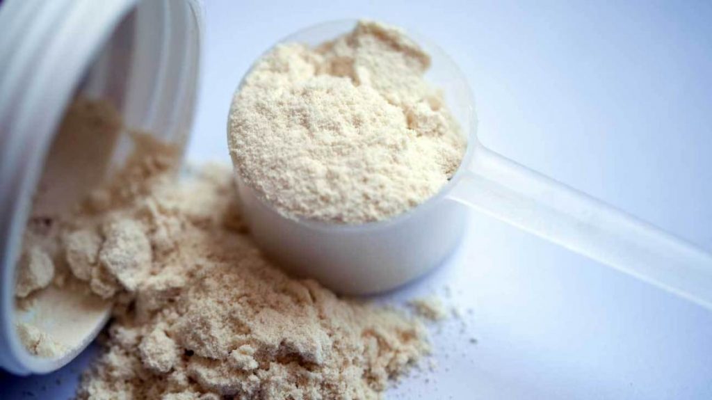 best vegan protein powder